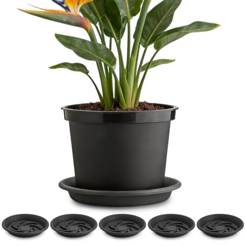 12 Inch Plant Saucers for Pots 5P, Pot Elevator for Grow Bags Drip Trays - view 7