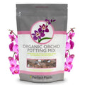 Orchid Potting Mix, 1 qt, Bark Blend for Phalaenopsis