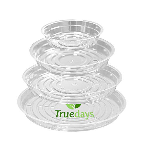 20 Pack Plant Saucers (6 inch / 8inch / 10inch / 12inch) Clear Plant Saucers Flower Pot Tray Excellent for Indoor & Outdoor Plants