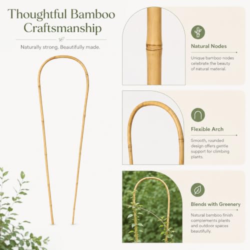 24in Natural Bamboo U-Hoop Trellis for Climbing Plants, 10 PCS - view 5