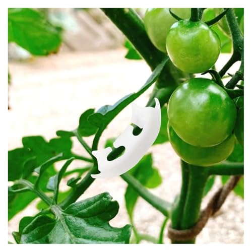 50pcs Plant Benders Trainer Plastic Support Pile Frame Plant Growth Manipulation Tutors Flower Vine Branches Support Clamps(Red) - view 4