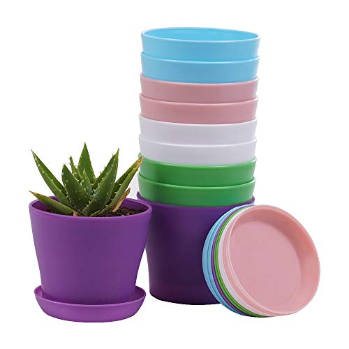 10 Pcs Plastic Planters Indoor Pots with Pallet