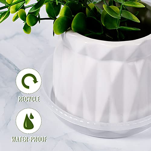 10 Pack Clear Plastic Plant Saucer, Durable Plant Trays Flower Plant - view 5