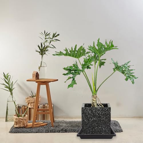 Plant Saucer 12 Inch Square 4 Pack 6 8 10 14 16 18 20 inch, Plant Saucers for Indoors and Outdoors, Saucers for Potted Plants, Planter Saucer, Plant Water Catcher Trays for Pots - view 6