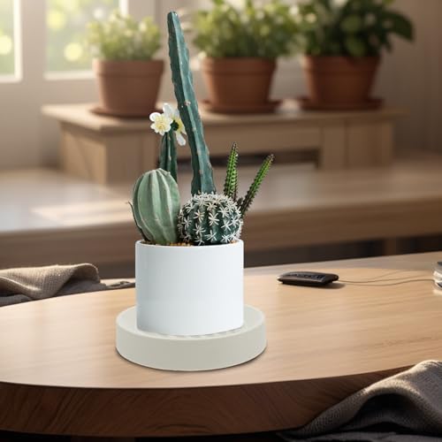 Plant Pot Tray with Hidden Caster Wheels, White Steel PP Rubber Base - view 5