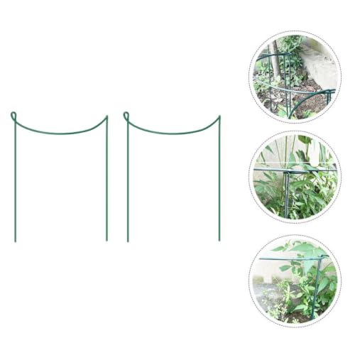 2pcs Iron Plant Support Trellis Stake for Rose Branches Peppers - view 7