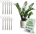 Mini Plant Support Stakes, Moonstone, 10-Pack, 12" L