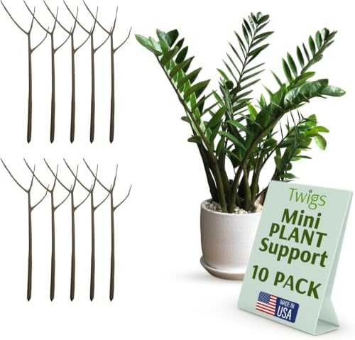 Mini Plant Support Stakes, Moonstone, 10-Pack, 12" L