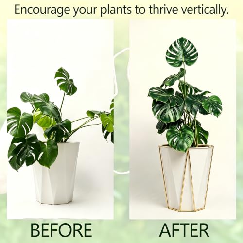 2 Pack Leaf Shape Metal Plant Trellis for Potted Climbing Vines (Gold) - view 5