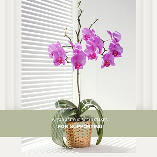 30 Pcs 15.6 Inch Clear Acrylic Plant Support Stakes - view 2