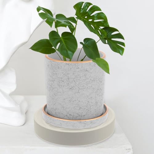 Plant Pot Tray with Hidden Caster Wheels, White Steel PP Rubber Base - view 4