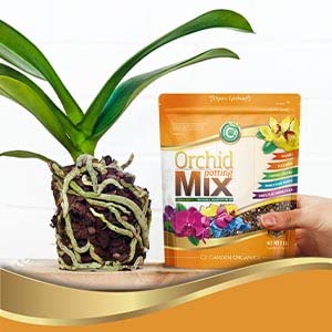 Orchid Potting Mix - Made in USA - Premium Grade Recipe for Proper Root Development - Phalaenopsis, Cattleyas, Dendrobiums, Oncidiums and More! Fir Bark, Charcoal, Coconut Husk, Clay Pebbles - view 4