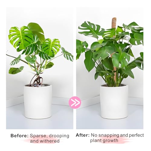 2 Pack Moss Pole Monstera Plant Support with Repotting Mat, 28 Inch Plant Support Stakes, Plant Sticks Support Tall for Indoor Potted Climbing Plants, Pothos, Philodendron - view 5