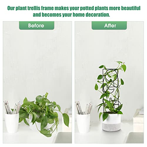 15.94Inch Plant Trellis for Climbing Plants Indoor Outdoor - view 5