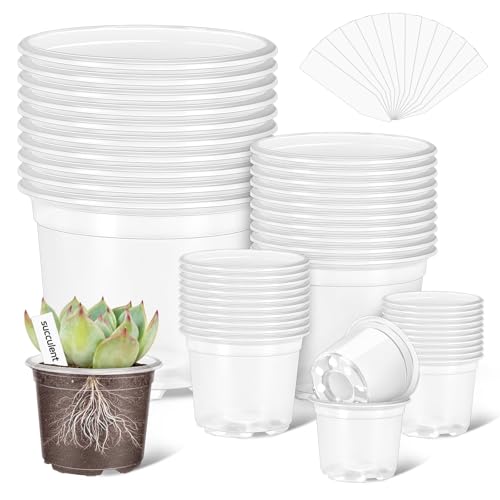 40 Pack 5/4/3/2.75 Inch Clear Nursery Pots with 40 Plant Labels, Clear Plant Pots with Drainage Hole Plastic Transparent Variety Pack Garden Flower Seedling Pot Small Planter Containers