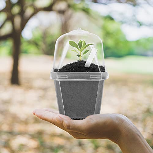 10 Packs Clear Plant Nursery Pot with Humidity Dome, Plastic Gardening Pot - view 5