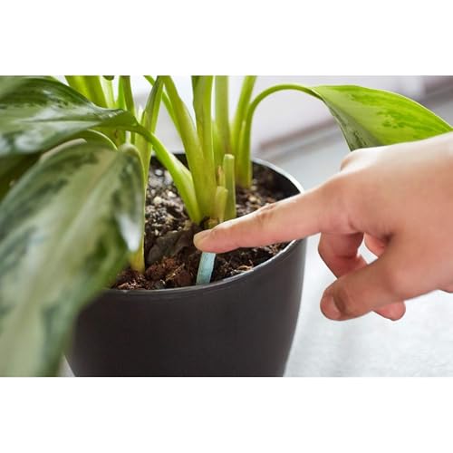 Indoor Plant Food Spikes, Includes 24 Spikes - Continuous Feeding for all Flowering and Foliage Houseplants - NPK 6-12-6 - view 6