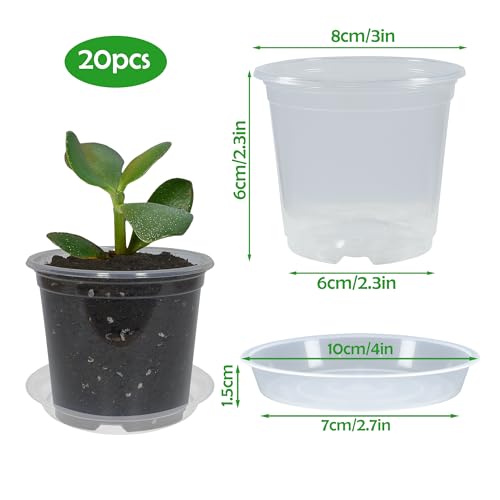 20 Pack 3 Inch Clear Nursery Pots with Drainage and 20 Pack Plant Saucers, Plant Pots for Plants Transparent Potting Containers for Plants Seeding Starter Pot (Clear, 3 Inch) - view 2