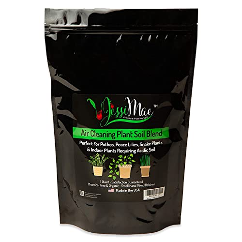 Potting Soil - 4-Quart Bag, Perlite - Well-Draining Snake Plant Soil - Slightly Acidic Potting Mix for Indoor Plants