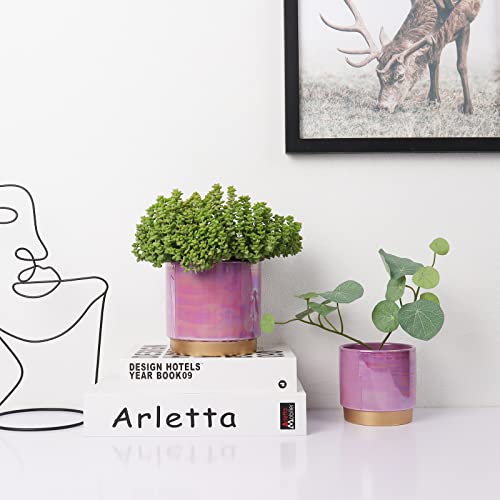 Ceramic Plant Pots for Indoor Plants, Planters with Drainage Holes - view 6