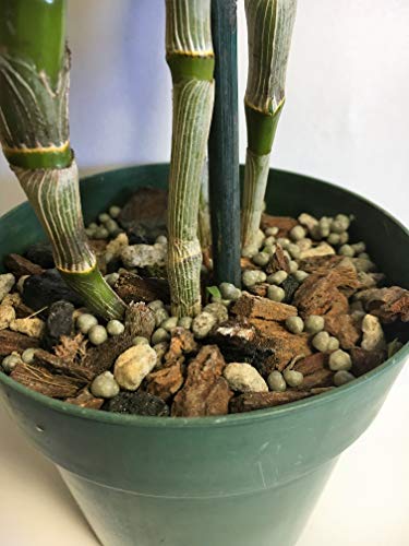 Potting Soil with Perlite, peat Moss, Coconut, Charcoal and Orchid bark for Cattleya Dendrobium Oncidium All Natural Orchid bark Potting Mix for Potting Soil Indoor Plants - view 4