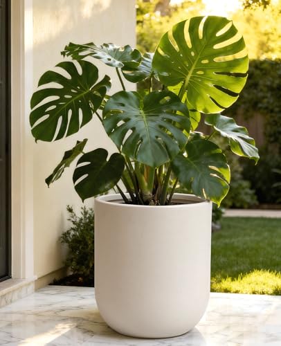 13 Inch Large Plastic Planter with Drainage for Houseplants - view 2