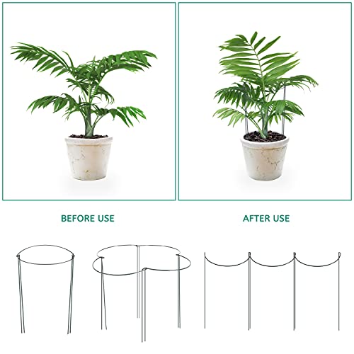 24 Pack Plant Support Stake, Half Round Metal Garden Plant Stake, Green Plant Support Ring, Border Support with Plant Lables & Plant Clips for Outdoor Indoor Plants, Vegetable, Flowers - view 3
