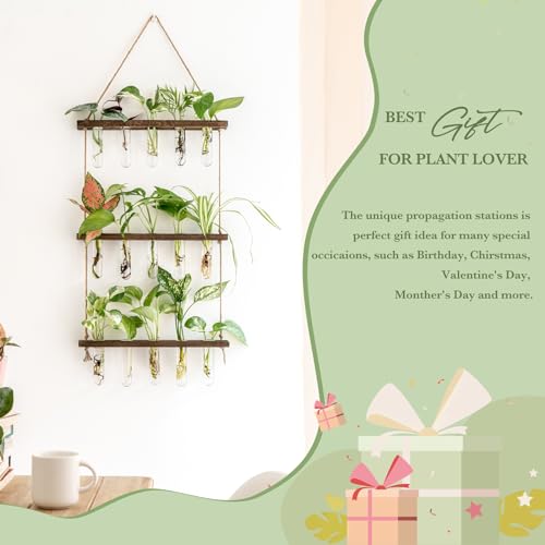 Plant Propagation Station, 3 Tier Brown Wall Hanging Vase Test Tubes - view 4