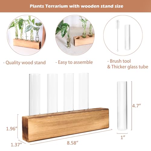 Plant Propagation Station, Plants Propagation Tubes - view 5