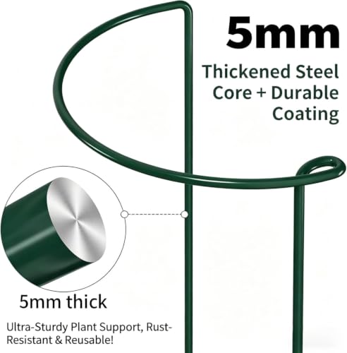 6 Pack Plant Support Stakes Peony Cage 10" W x 24" H Heavy Duty Ring Metal Garden Support Structures Plant Cage with Ties for Indoor Flower Outdoor Tomato Hydrangea Monstera - view 3