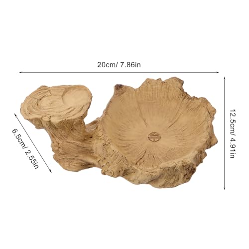 Hydroponic Plant Base Tray Resin Plant Pot Saucer for Indoor Houseplants Desktop Base Water Tray for Potted Plants Decorative for Home or Office 7.87 X 4.92 X 2.55 in - view 2