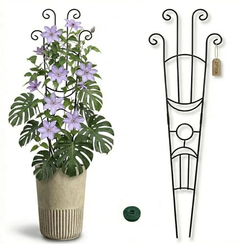 2 Pack 33 In Adjustable Plant Trellis for Climbing Plants Indoor Thickened Rust-Proof Metal Climbing Support Expandable 15-30 Inch Indoor Outdoor Garden Trellis for Pothos Ivy Monstera with Plant Ties
