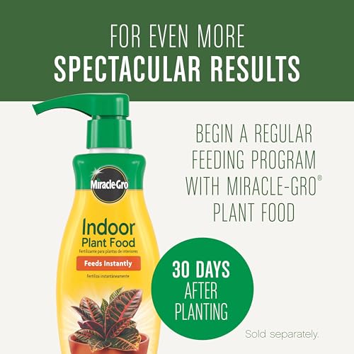 Houseplant Potting Mix, 4 qt. - view 2
