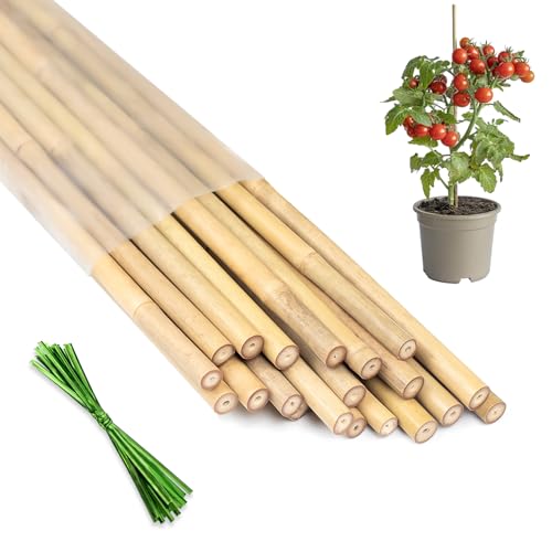 Plant Stakes 18inch, 20Pcs Natural Bamboo Sticks Garden Stakes