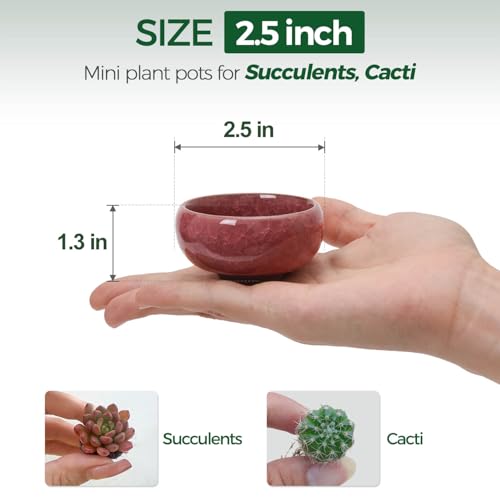 Mini Succulent Pots, Small Shallow Ceramic Pots, Retro Gift Set of 12 - view 2