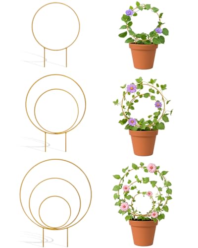 3 Pack Circle Plant Trellis Indoor, Small Metal Plant Support Stake for Climbing Plants, Different Sizes Round Garden Trellis for Ivy and Flowers Outdoor (Gold)