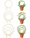 3 Pack Circle Plant Trellis Indoor, Small Metal Plant Support Stake for Climbing Plants, Different Sizes Round Garden Trellis for Ivy and Flowers Outdoor (Gold)
