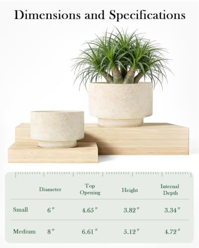 Succulent Pots, 8"+6" Plant Pots, Ceramic Planters for Indoor Plants - view 3