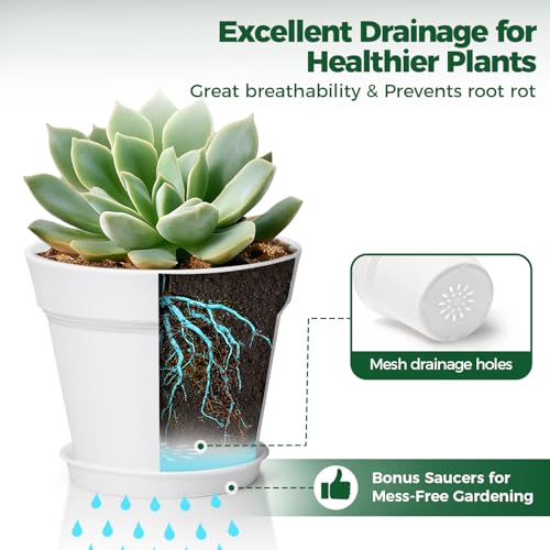 Plant Pots Indoor 6 Inch 8 Pack, Plastic Flower Pots with Saucer White - view 4