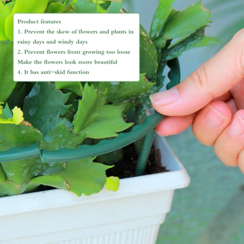 Green Plastic Climbing Plant Support Bracket 12pcs - view 4