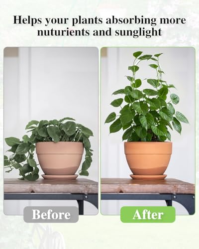 2 Pack Acrylic Tuteur Plante Interieur, Clear Plant Support Trellis Indoor - view 6