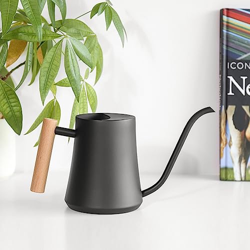 Black Watering Can for Indoor Plants, 1L/35oz Stainless Steel - view 3