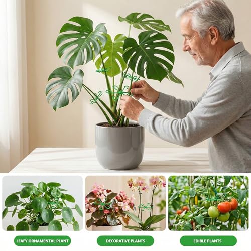 16PCS Plant Stem Support Clips for Indoor Climbing Houseplants - view 6