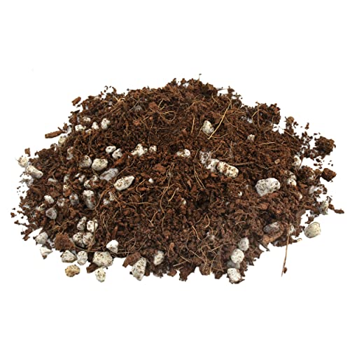 Terrarium Potting Soil Mix (4 Quarts) w/Blended Filtering Charcoal Custom Made for Terrariums - view 6