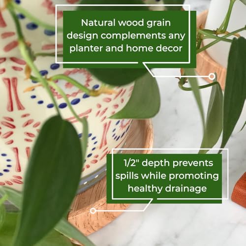 Ceramic Plant Saucer | Plant Trays for Indoors | Drip Tray | Plant Pot Saucers (4.5in + 5.75in, Wooden Grain) - view 2