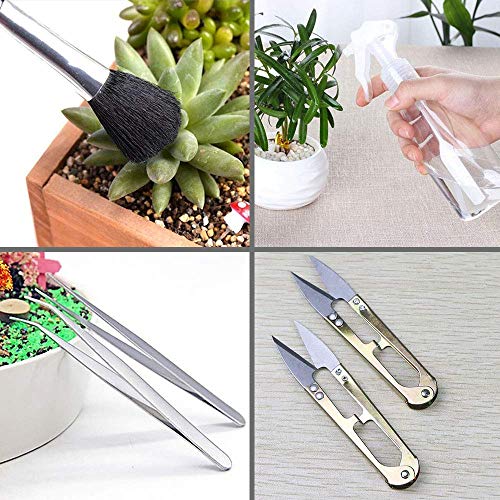 15 Pcs Succulent Plant Tools Set - view 5