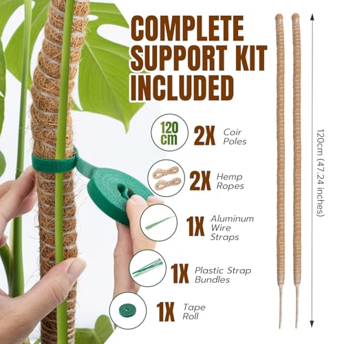 Bendable Moss Pole for Monstera, 2-Pack, 47 Inch - view 4