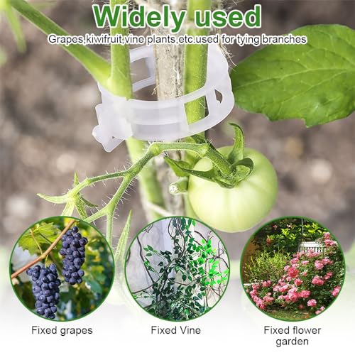 300 Pcs Plant Clips - Plastic Plant Clips for Climbing Plants,Reusable Plant Support Clips for Tomatoes, Vines,Cucumbers, and Climbing Plants,Gentle & Secure Garden Clips for Indoor & Outdoor Use - view 4