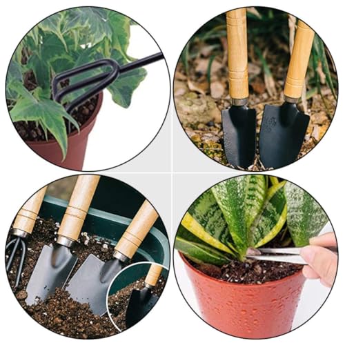 10pcs Mini Garden Tools Set Wooden Succulent Planting Kit for Cacti - view 3