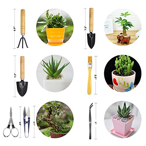 Bonsai Tool Set 8 PCS-Mini Gardening Tools Kit for Indoor Outdoor Plant - view 3